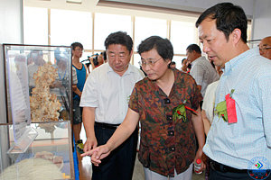 学校领导陪同来宾参观观赏石展